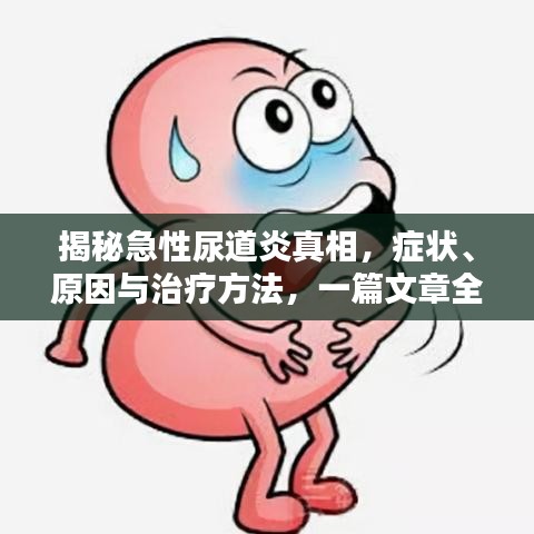 揭秘急性尿道炎真相，症状、原因与治疗方法，一篇文章全解析！