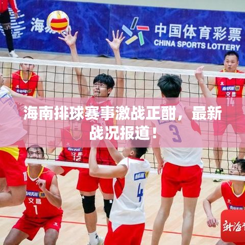海南排球赛事激战正酣，最新战况报道！