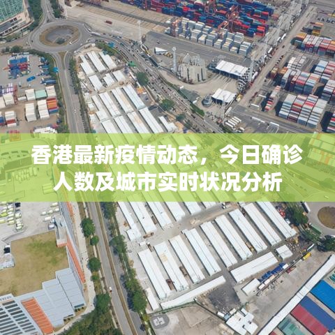 香港最新疫情动态，今日确诊人数及城市实时状况分析