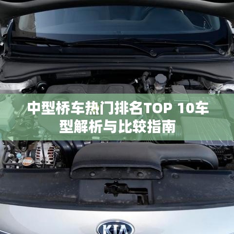 中型桥车热门排名TOP 10车型解析与比较指南