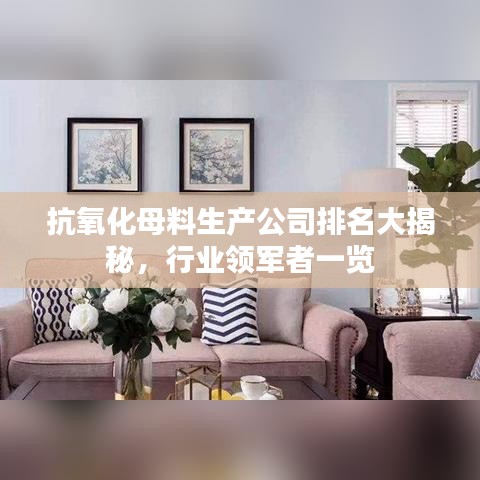 抗氧化母料生产公司排名大揭秘，行业领军者一览
