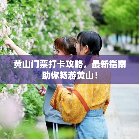 黄山门票打卡攻略，最新指南助你畅游黄山！