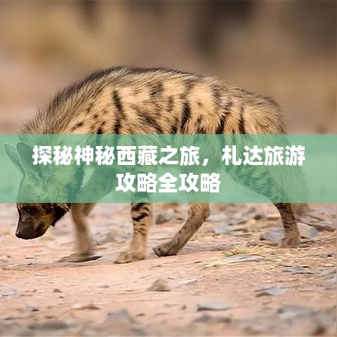 探秘神秘西藏之旅，札达旅游攻略全攻略