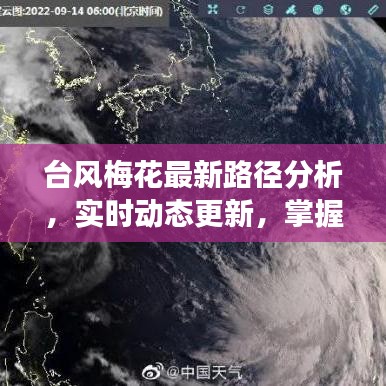 台风梅花最新路径分析，实时动态更新，掌握天气变化！