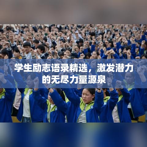 学生励志语录精选，激发潜力的无尽力量源泉