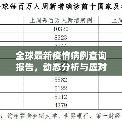 全球最新疫情病例查询报告，动态分析与应对策略速递