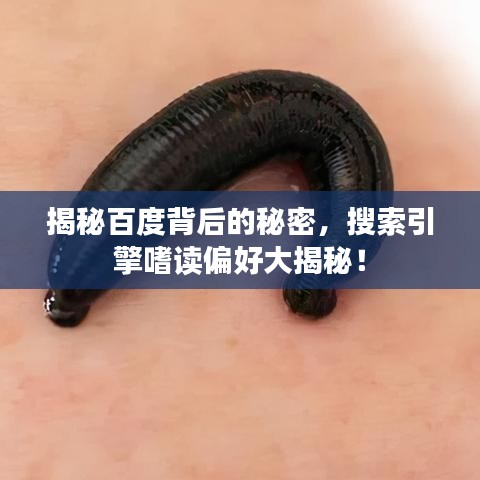 揭秘百度背后的秘密，搜索引擎嗜读偏好大揭秘！