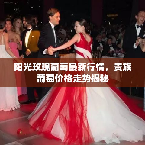 阳光玫瑰葡萄最新行情，贵族葡萄价格走势揭秘