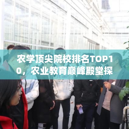 农学顶尖院校排名TOP10，农业教育巅峰殿堂探秘