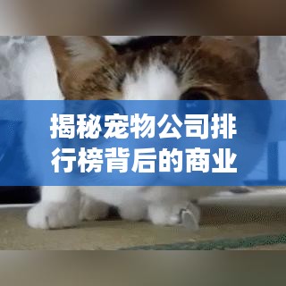 揭秘宠物公司排行榜背后的商业秘密与真相