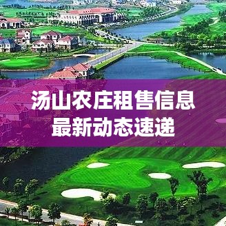 汤山农庄租售信息最新动态速递