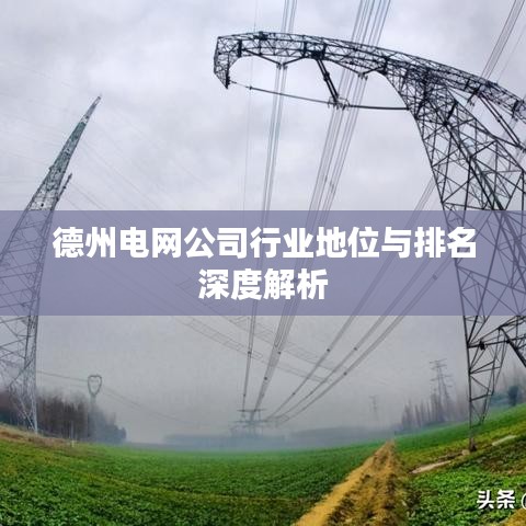 德州电网公司行业地位与排名深度解析