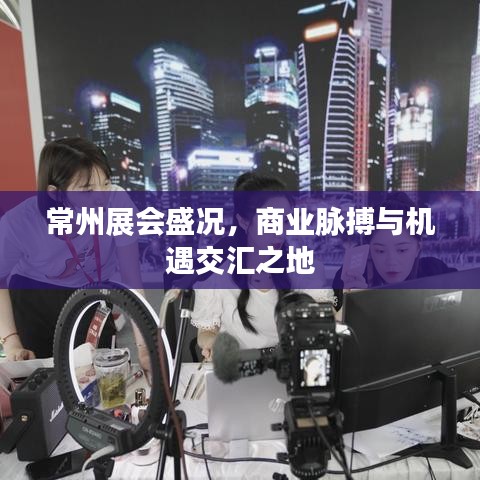 常州展会盛况，商业脉搏与机遇交汇之地