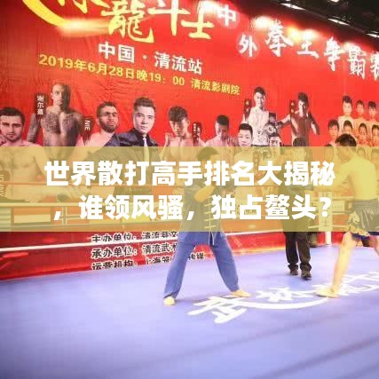 世界散打高手排名大揭秘，谁领风骚，独占鳌头？