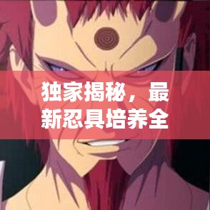 独家揭秘，最新忍具培养全攻略，轻松踏上忍具大师之路！