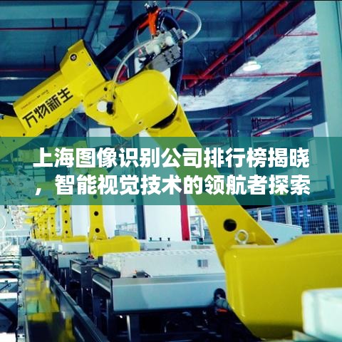 上海图像识别公司排行榜揭晓，智能视觉技术的领航者探索