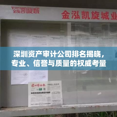 深圳资产审计公司排名揭晓，专业、信誉与质量的权威考量榜单