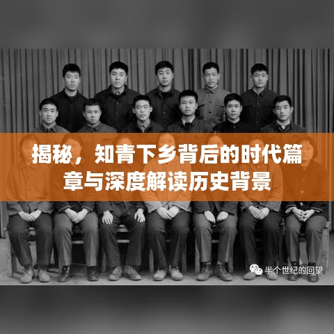 揭秘，知青下乡背后的时代篇章与深度解读历史背景