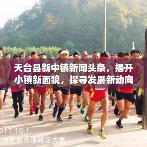 天台县新中镇新闻头条，揭开小镇新面貌，探寻发展新动向