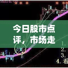 今日股市点评，市场走势深度分析，操作策略实战探讨视频