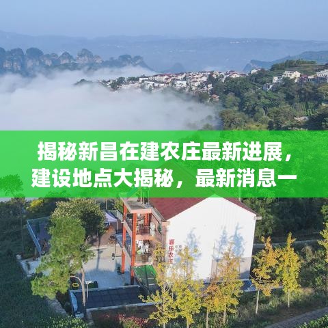 揭秘新昌在建农庄最新进展，建设地点大揭秘，最新消息一网打尽