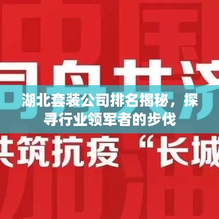 湖北套装公司排名揭秘，探寻行业领军者的步伐