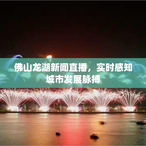 佛山龙湖新闻直播，实时感知城市发展脉搏