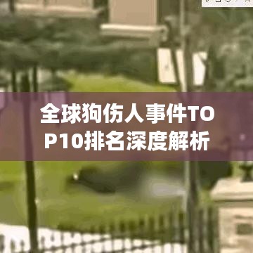 全球狗伤人事件TOP10排名深度解析
