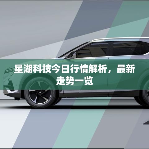 星湖科技今日行情解析，最新走势一览