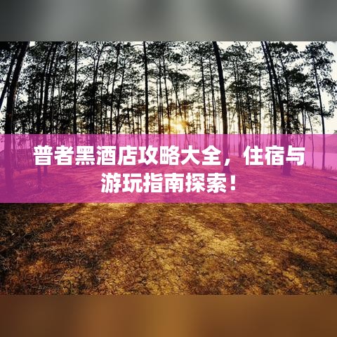普者黑酒店攻略大全，住宿与游玩指南探索！