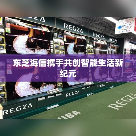 东芝海信携手共创智能生活新纪元