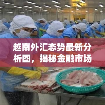 越南外汇态势最新分析图，揭秘金融市场的现状与未来趋势展望