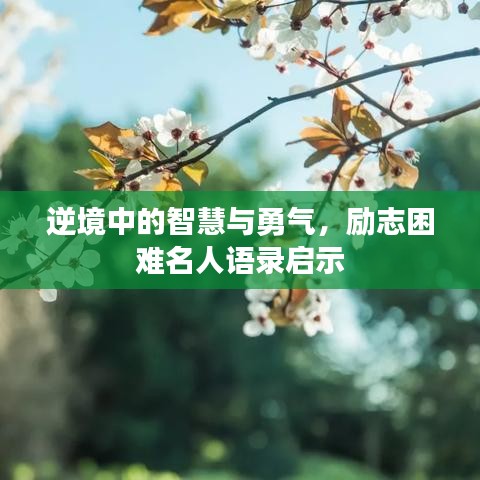 逆境中的智慧与勇气，励志困难名人语录启示