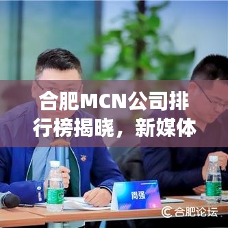 合肥MCN公司排行榜揭晓，新媒体领域的蓬勃发展探索