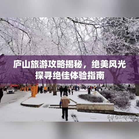 庐山旅游攻略揭秘，绝美风光探寻绝佳体验指南