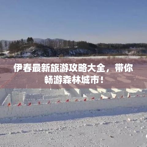 伊春最新旅游攻略大全，带你畅游森林城市！