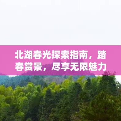 北湖春光探索指南，踏春赏景，尽享无限魅力！