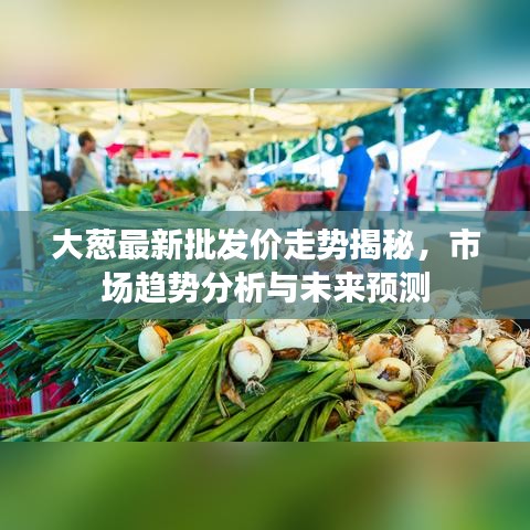 大葱最新批发价走势揭秘，市场趋势分析与未来预测