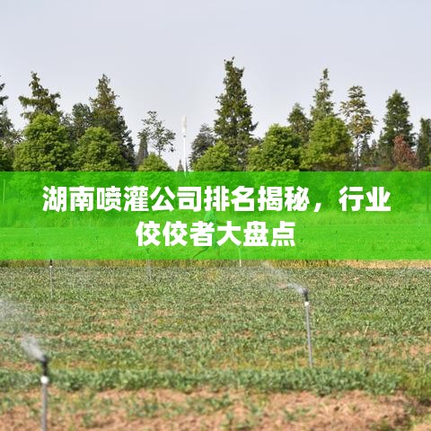 湖南喷灌公司排名揭秘，行业佼佼者大盘点