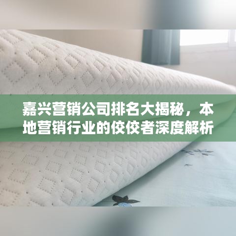 嘉兴营销公司排名大揭秘，本地营销行业的佼佼者深度解析