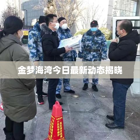金梦海湾今日最新动态揭晓