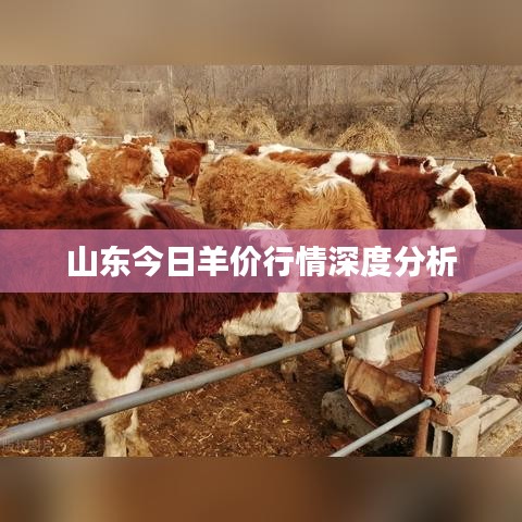 不翼而飞 第2页