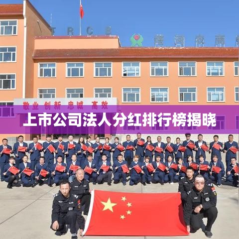 上市公司法人分红排行榜揭晓