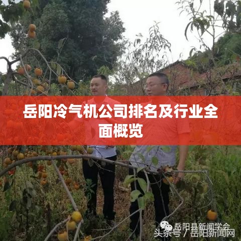 岳阳冷气机公司排名及行业全面概览