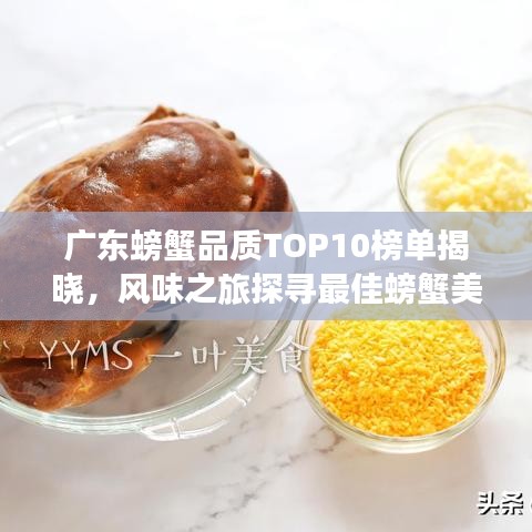 广东螃蟹品质TOP10榜单揭晓，风味之旅探寻最佳螃蟹美食之旅