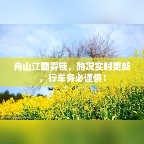 舟山江面雾锁，路况实时更新，行车务必谨慎！