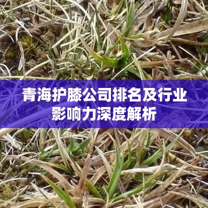 青海护膝公司排名及行业影响力深度解析