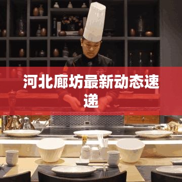 河北廊坊最新动态速递