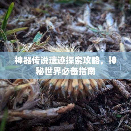 神器传说遗迹探索攻略，神秘世界必备指南