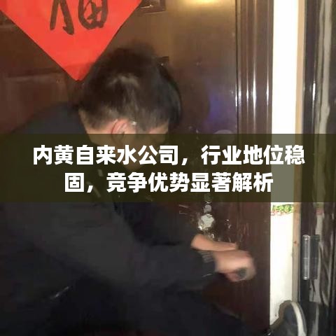 内黄自来水公司，行业地位稳固，竞争优势显著解析